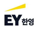 EY한영 (금융컨설팅부문 금융전략팀)