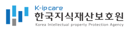 한국지식재산보호원