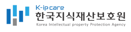 한국지식재산보호원