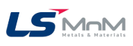 LS MnM